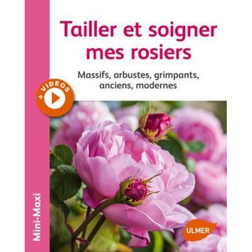 Tailler Et Soigner Mes Rosiers
