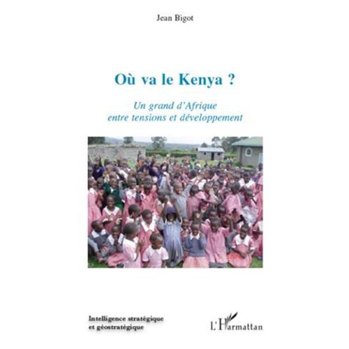 Où Va Le Kenya ? Un Grand D'afrique Entre Tensions Et Développement