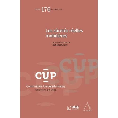 Les Sûretés Réelles Mobilières