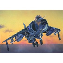 Maquette Avion : Frs.1 Sea Harrier-Italeri