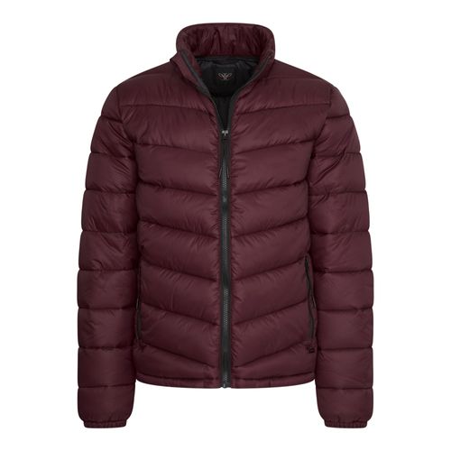 Cappuccino Italia Winter Jacket Burgundy Rouge