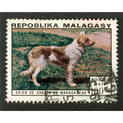 Timbre Oblitéré Repoblika Malagasy, Chien De Chasse De Madagascar, Postes 1974, 100 Fmg,