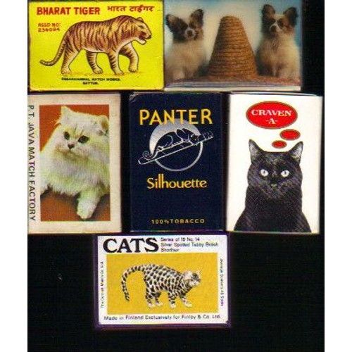 Lot De 6 Boites D'allumettes / Philuménie / Thème : Félins