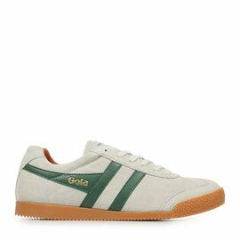 Gola Harrier Suede