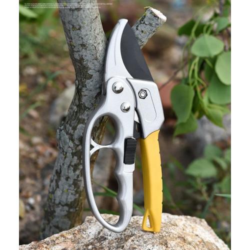 Sécateur à Crémaillère Cisaille Haies Jardin Coupe Branches Ø20 mm, SK5 steel