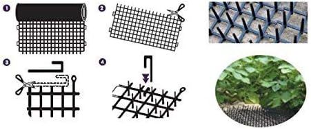 Chats Contrle Dissuasif Tapis, Humain Chien Chat Animal Poi... - 3