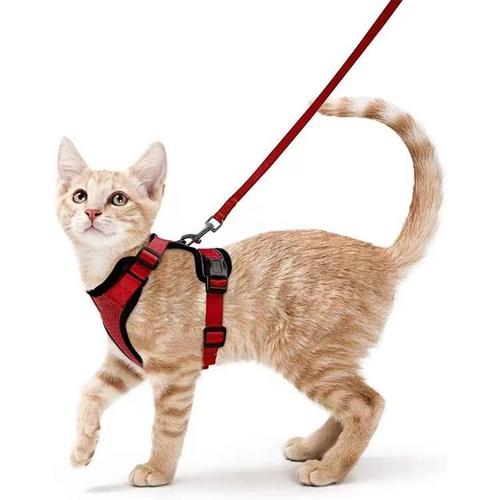 Harnais Chat Petit Chien Laisse Harnais Chaton Réglable Rouge Xs Collier Harnai Chat Refléchissant Gilet Respirant Pour Lapin, Chat Européen, Maine Coon, Persan, Attache Dessus Avec Laisse