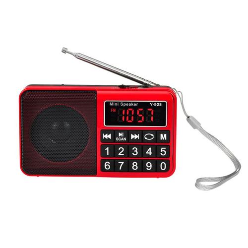 Radio Portable FM/AM(MW)/SW/USB/Micro-SD/MP3, Poste Radio avec Grands Boutons et Grand Écran, Rechargeable Batterie 1200 mAh(No Support for preset Stations)