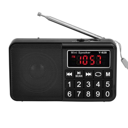 Radio Portable FM/AM(MW)/SW/USB/Micro-SD/MP3, Poste Radio avec Grands Boutons et Grand Écran, Rechargeable Batterie 1200 mAh(No Support for preset Stations)
