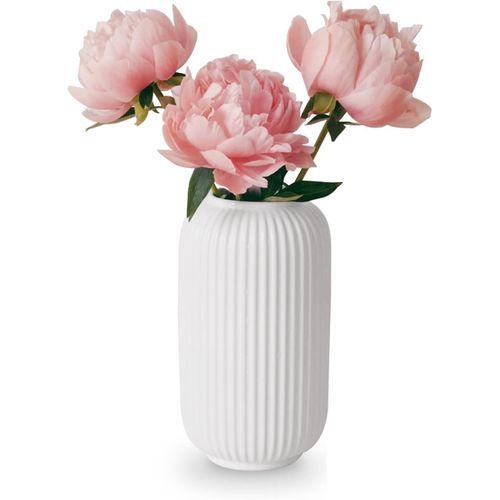 asas456-Vase En Céramique,Blanc,20cm De Haut,Décoration Moderne,Bohème,Vase Nervuré,Vase En Céramique Esthétique,Pour Herbe De La Pampa,Fleurs Fraîches,Fleurs Séchées
