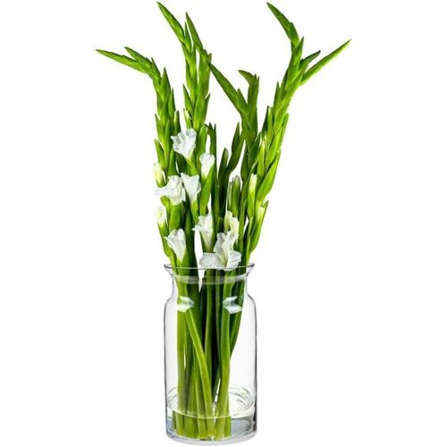 Asas456-Grand Vase Decoratif A Poser Au Sol H: 29.5cm Vase Verre Transparent Vase Haut Pour Pampa Vase Rond En Verre Vase Cylindrique Vase Sol Vase Pour Muguet|Ø 16cm|Sunflower
