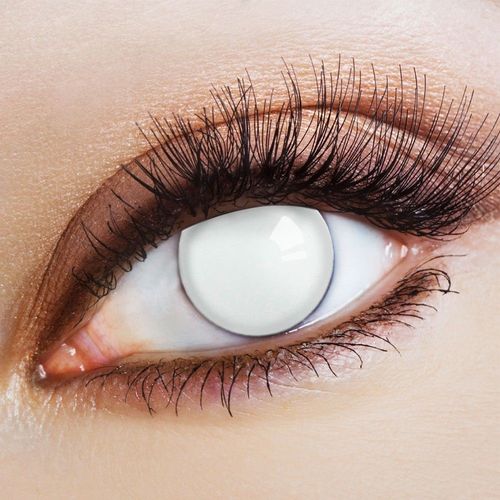 Lentilles Annuelles 14mm White Round - 71