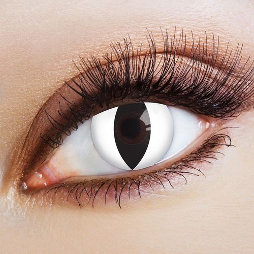 Lentilles Annuelles 14mm Catwalk - 70