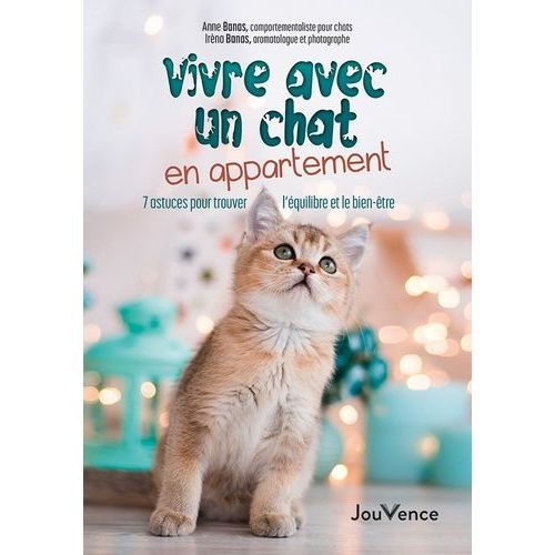 Vivre Avec Un Chat En Appartement - 7 Astuces Pour Trouver L'équilibre Et Le Bien-Être