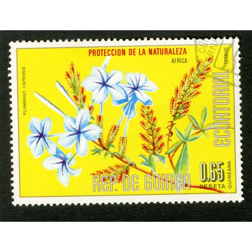 Timbre Oblitéré Rep De Guinea, Proteccion De La Naturaleza Africa, Plumbago Capensis, 0.65 Peseta