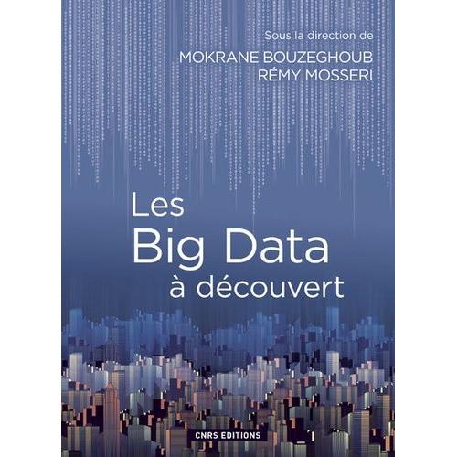 Les Big Data À Découvert