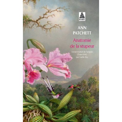 Anatomie De La Stupeur
