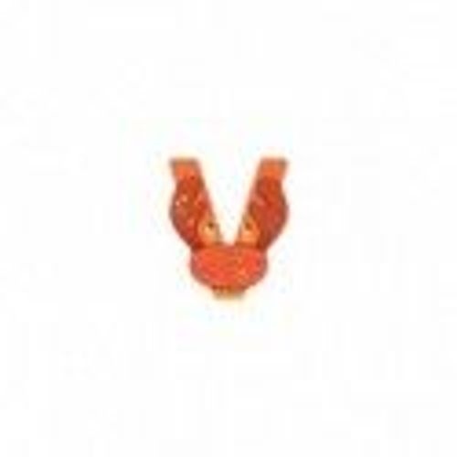 Lettre Bois V Orange L'alphabet - Moulin Roty