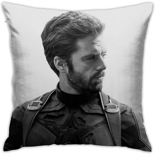 Sebastian Stan Housses De Coussin En Polyester Doux Décoratif Carré Housse De Coussin Taie D'oreiller De Luxe Pour Salon, Canapé, Chambre À Coucher, Voiture