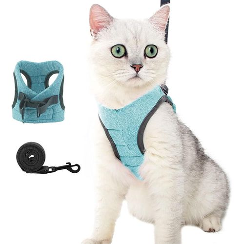 Ensemble Harnais Et Laisse Pour Chat Anti-Évasion, Réglable Et Rembourré Avec Rembourrage De Course, Veste D'extérieur Confortable Pour Chaton, Chiot, Lapin (S, Grün)