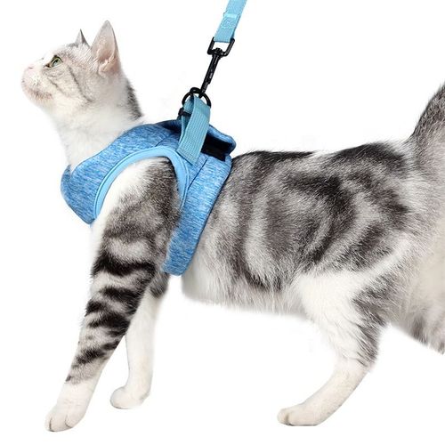 Ensemble Harnais Et Laisse Pour Chat Anti-Évasion, Réglable Et Rembourré Avec Rembourrage De Course, Veste D'extérieur Confortable Pour Chaton, Chiot, Lapin (S, Blau)