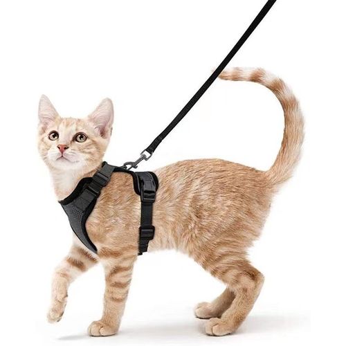 Harnais Chat Petit Chien Laisse Harnais Chaton Réglable Noir Xs Collier Harnai Chat Refléchissant Gilet Respirant Pour Lapin, Chat Européen, Maine Coon, Persan, Attache Dessus Avec Laisse