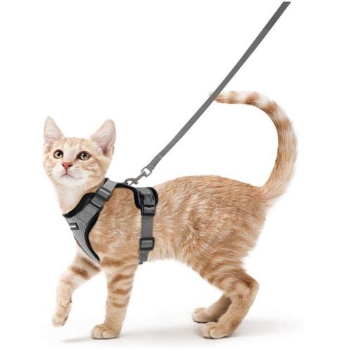 Harnais Chat Petit Chien Laisse Harnais Chaton Réglable Gris Xs Collier Harnai Chat Refléchissant Gilet Respirant Pour Lapin, Chat Européen, Maine Coon, Persan, Attache Dessus Avec Laisse