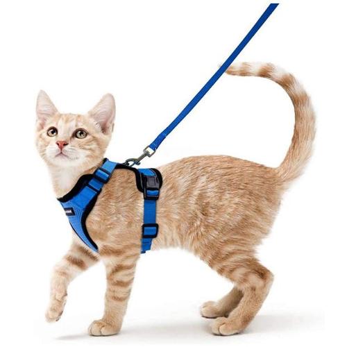 Harnais Chat Petit Chien Laisse Harnais Chaton Réglable Bleu Xs Collier Harnai Chat Refléchissant Gilet Respirant Pour Lapin, Chat Européen, Maine Coon, Persan, Attache Dessus Avec Laisse