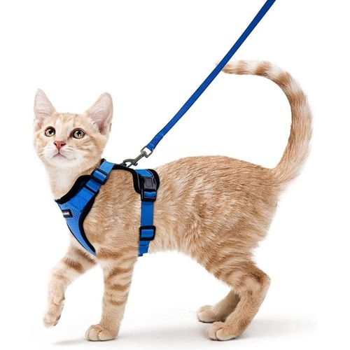 Harnais Chat Petit Chien Laisse Harnais Chaton Réglable Bleu Xs Collier Harnai Chat Refléchissant Gilet Respirant Pour Lapin, Chat Européen, Maine Coon, Persan, Attache Dessus Avec Laisse