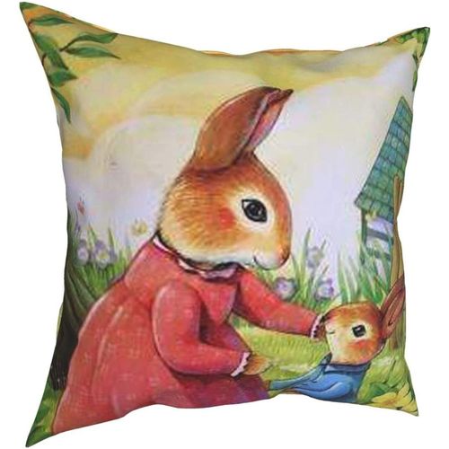 Hirola Oreillers Doux Et Durables Peter Rabbit Four Seasons, Oreillers Confortables, Doux Et Doux Pour La Peau, Adaptés Aux Canapés-Lits, Voitures-Petter19-22x22inch