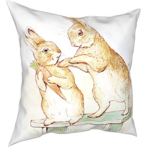 Hirola Oreillers Doux Et Durables Peter Rabbit Four Seasons, Oreillers Confortables, Doux Et Doux Pour La Peau, Adaptés Aux Canapés-Lits, Voitures-Petter16-22x22inch