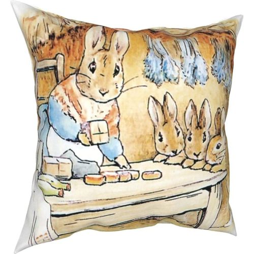 Hirola Oreillers Doux Et Durables Peter Rabbit Four Seasons, Oreillers Confortables, Doux Et Doux Pour La Peau, Adaptés Aux Canapés-Lits Et Voitures-Petter10-26x26ich