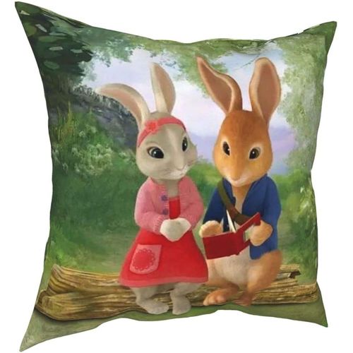 Hirola Oreillers Doux Et Durables Peter Rabbit Four Seasons, Oreillers Confortables, Doux Et Doux Pour La Peau, Adaptés Aux Canapés-Lits, Voitures-Petter20-16x16inch