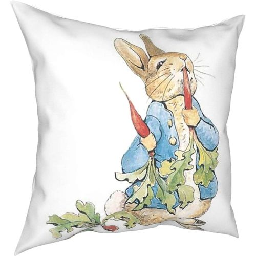 Hirola Oreillers Doux Et Durables Peter Rabbit Four Seasons, Oreillers Confortables, Doux Et Doux Pour La Peau, Adaptés Aux Canapés-Lits, Voitures-Petter9-12x12inch