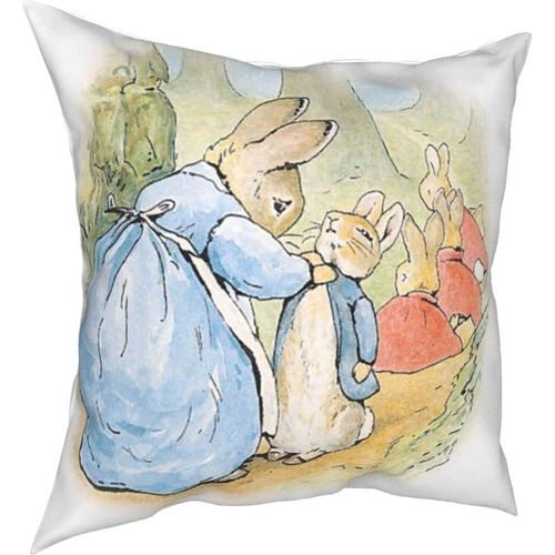 Hirola Oreillers Doux Et Durables Peter Rabbit Four Seasons, Oreillers Confortables, Doux Et Doux Pour La Peau, Adaptés Aux Canapés-Lits Et Voitures-Petter28-18x18inch