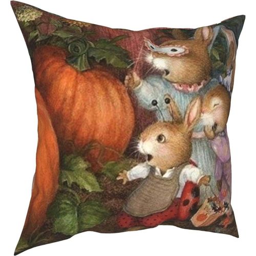 Hirola Oreillers Doux Et Durables Peter Rabbit Four Seasons, Oreillers Confortables, Doux Et Doux Pour La Peau, Adaptés Aux Canapés-Lits, Voitures-Petter5-22x22inch