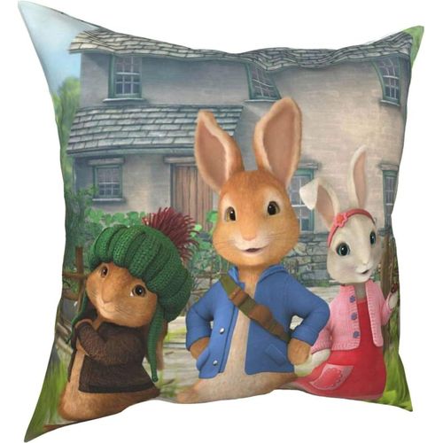 Hirola Oreillers Doux Et Durables Peter Rabbit Four Seasons, Oreillers Confortables, Doux Et Doux Pour La Peau, Adaptés Aux Canapés-Lits, Voitures-Petter7-18x18inch