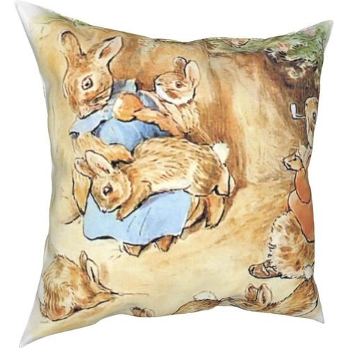 Hirola Oreillers Doux Et Durables Peter Rabbit Four Seasons, Oreillers Confortables, Doux Et Doux Pour La Peau, Adaptés Aux Canapés-Lits, Voitures-Petter4-24x24inch