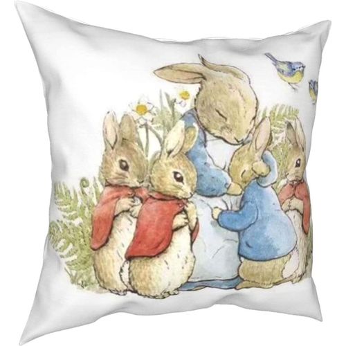 Hirola Oreillers Doux Et Durables Peter Rabbit Four Seasons, Oreillers Confortables, Doux Et Doux Pour La Peau, Adaptés Aux Canapés-Lits, Voitures-Petter14-24x24inch