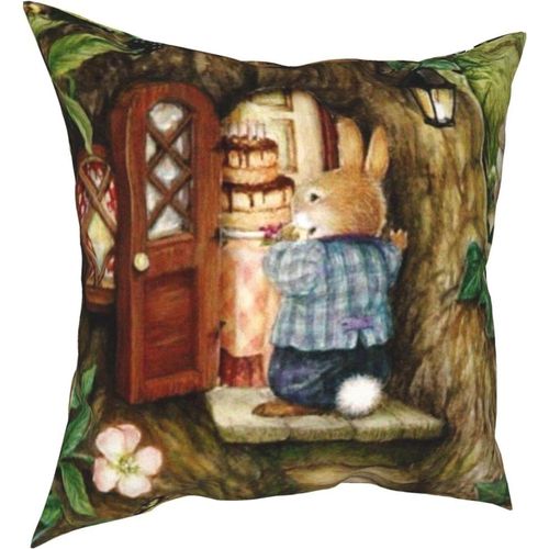 Hirola Oreillers Doux Et Durables Peter Rabbit Four Seasons, Oreillers Confortables, Doux Et Doux Pour La Peau, Adaptés Aux Canapés-Lits, Voitures-Petter23-24x24inch