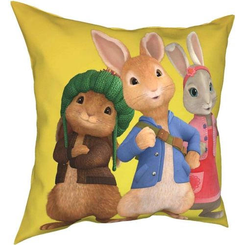 Hirola Oreillers Peter Rabbit Four Seasons Doux Et Durables, Oreillers Confortables, Doux Et Doux Pour La Peau, Adaptés Aux Canapés-Lits Et Voitures-Petter18-22x22inch