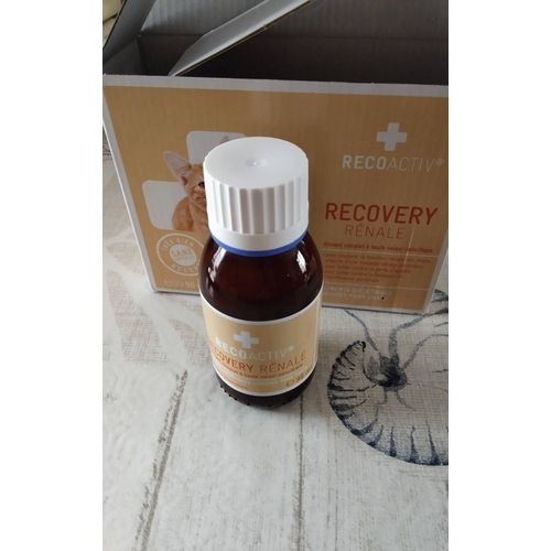 Recovery Rénal Pour Chat