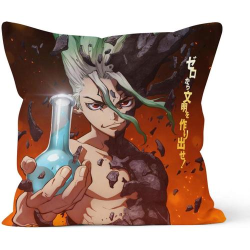 Fermeture À Glissière Cachée Taies D'oreiller Décoratives Double Face Dr. Stone Anime Taie D'oreiller Cadeau, Appliquer À La Décoration De Voiture, À La Maison, Au Canapé, À La Literie, Taille 18x18 Pouces (45 Cm X 45 Cm)