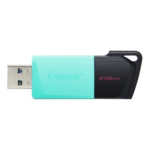 Kingston DataTraveler Exodia M - Clé USB - 256 Go - USB 3.2 Gen 1