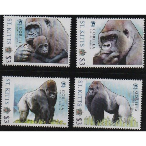 Saint Kitts Timbres Animaux : Les Gorilles 2012