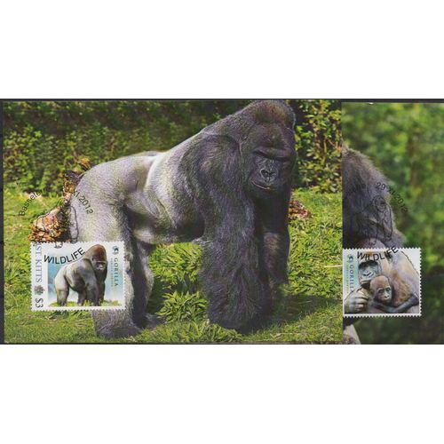 Saint Kitts Cartes Animaux : Les Gorilles 2012
