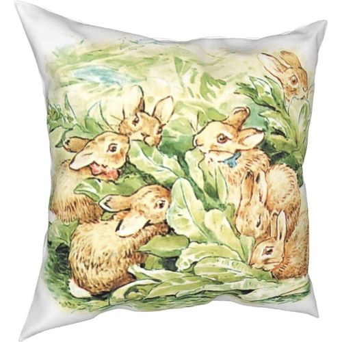 Oreillers Peter Rabbit Four Seasons, Oreillers Confortables, Doux Et Doux Pour La Peau, Adaptés Aux Voitures Canapé-Lit-Petter3-20x20inch