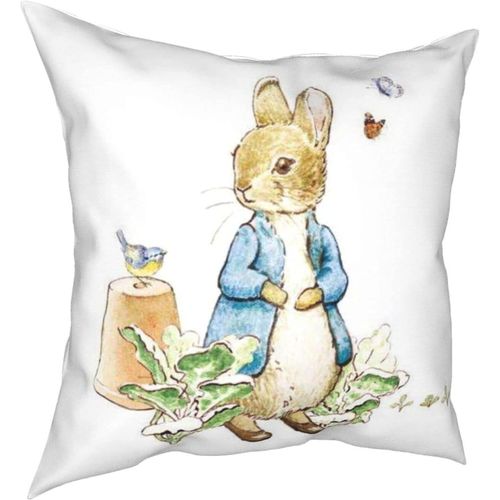 Oreillers Peter Rabbit Four Seasons, Oreillers Confortables, Doux Et Doux Pour La Peau, Adaptés Aux Voitures-Lits-Petter1-22x22inch