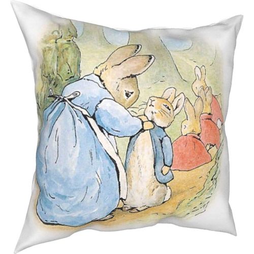 Oreillers Peter Rabbit Four Seasons, Oreillers Confortables, Doux Et Doux Pour La Peau, Adaptés Aux Voitures Canapé-Lit-Petter28-18x18inch