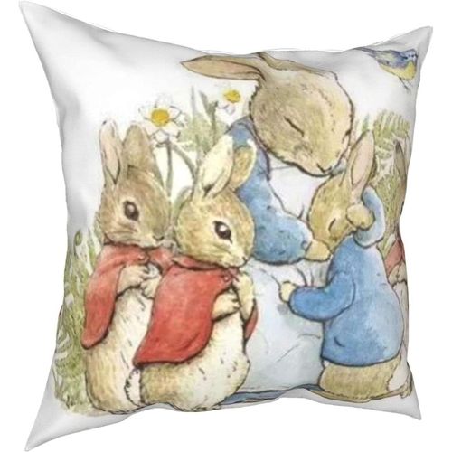 Oreillers Peter Rabbit Four Seasons, Oreillers Confortables, Doux Et Doux Pour La Peau, Adaptés Aux Voitures Canapé-Lit-Petter22-16x16inch